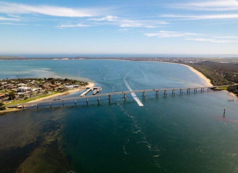 Picture 22 for Activity Melbourne: Boutique Phillip Island Wine, Dine & Penguin Tour 3