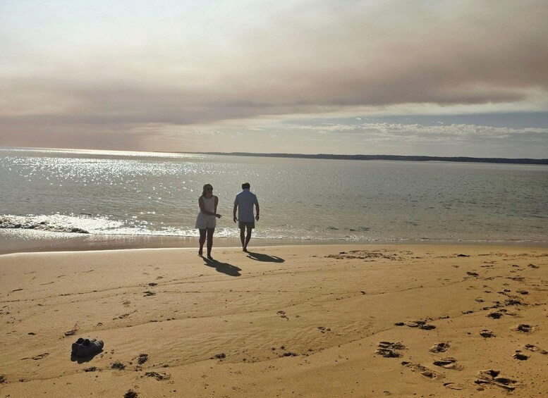 Picture 19 for Activity Melbourne: Boutique Phillip Island Wine, Dine & Penguin Tour 4