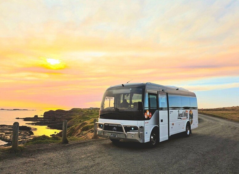 Picture 11 for Activity Melbourne: Boutique Phillip Island Wine, Dine & Penguin Tour 5