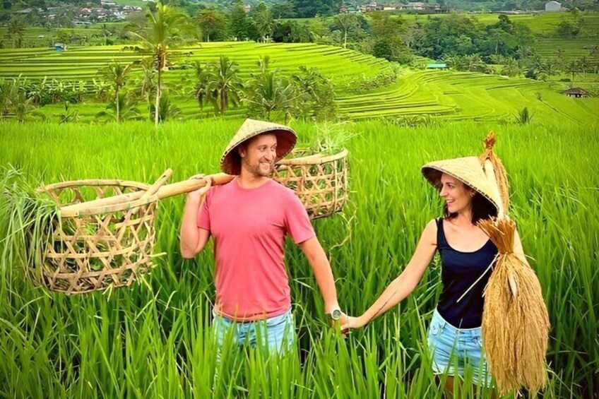 Jatiluwih Rice Field