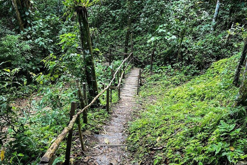 Full Day Tour of El Tigrero Waterfall and Cultural Experience 4