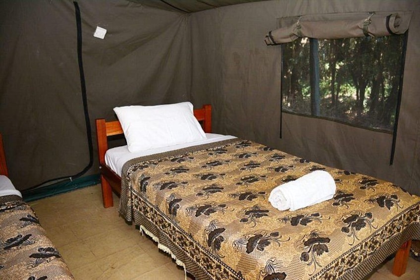 A tent with a bed inside, a window with a view of trees, and a rolled-up towel on the bed. 2