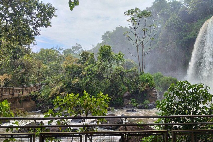 Una cascada, un puente y abundante vegetación. 5