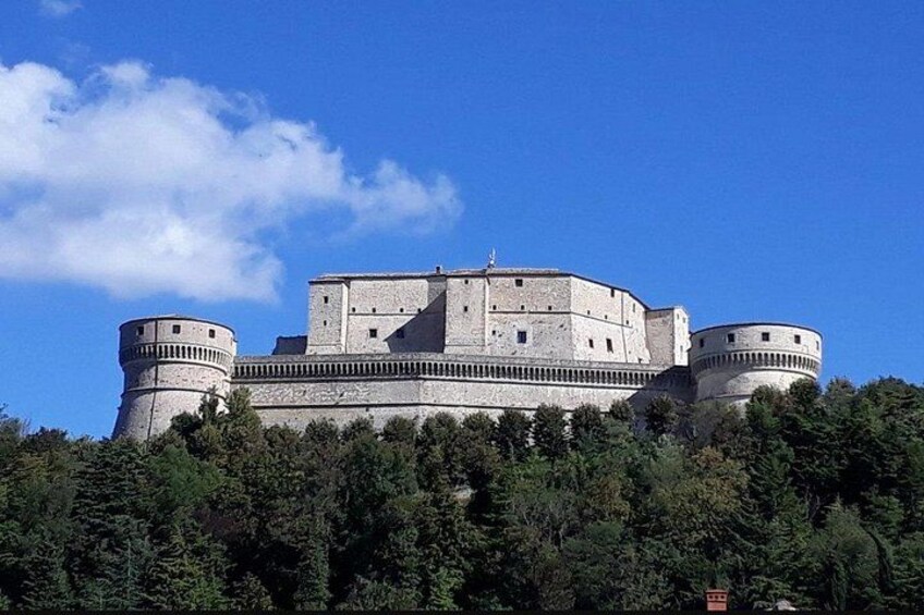 Ein großes, historisches Schloss mit zahlreichen Türmen und einer befestigten Mauer, umgeben von dichtem Wald. 5