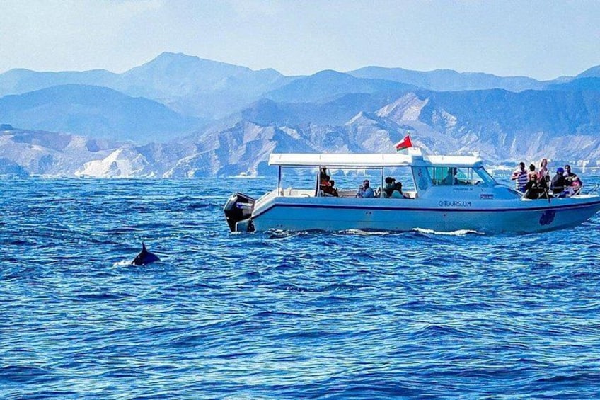 2 Hour Dolphin Watching Experience in Muscat 2