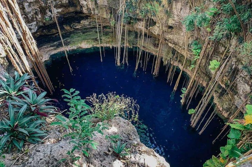 Une piscine naturelle entourée de falaises rocheuses et de végétation. 5