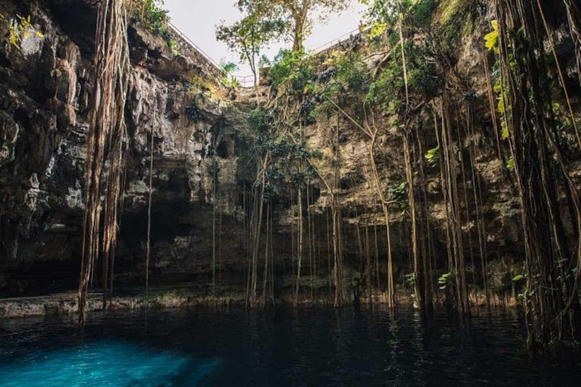 Une grotte naturelle avec de l’eau, des stalactites et des racines pendantes. 3