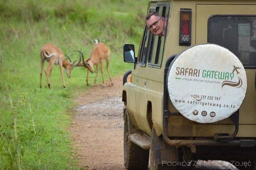 Game viewing - Mikumi National Park 2