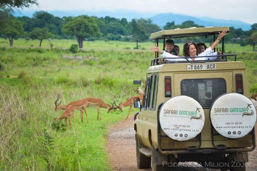 Game viewing - Mikumi National Park 3