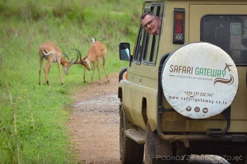 Game viewing - Mikumi National Park 4