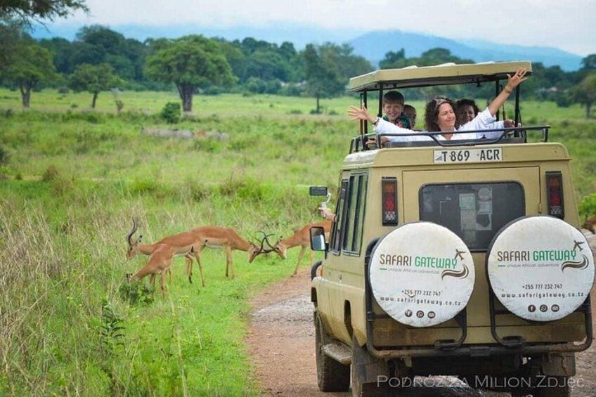 Game viewing - Mikumi National Park 5