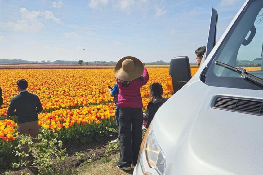 Et mark med orange blomster, en hvid bil og folk, der står og går. 4