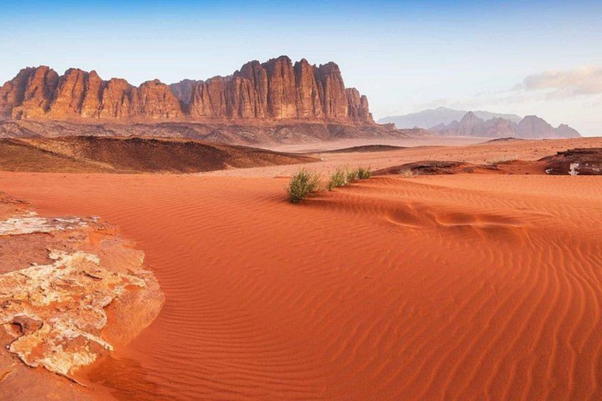 Petra & Wadi Rum Full Day Trip 3