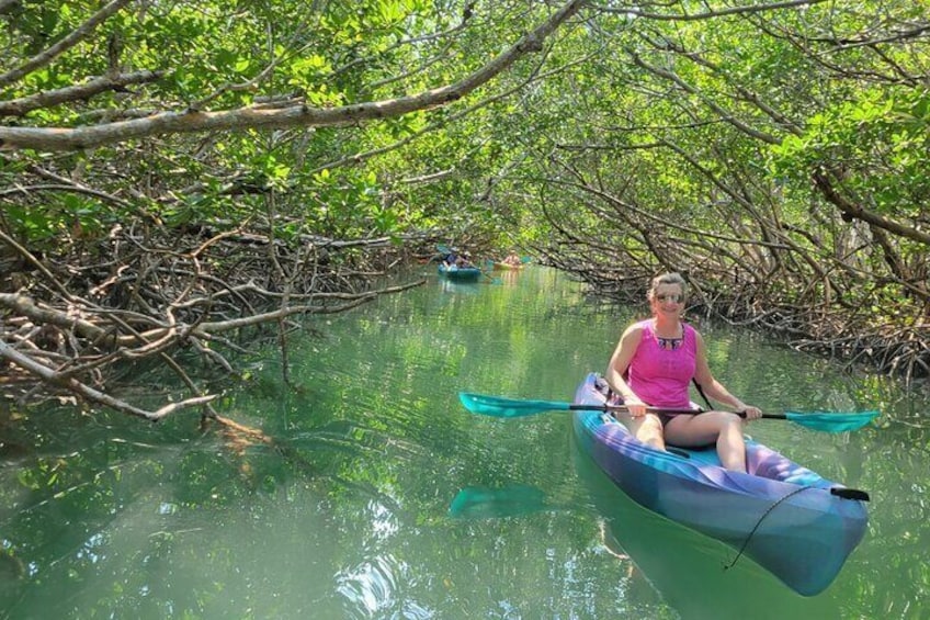 A person in a kayak navigating a mangrove area. 1
