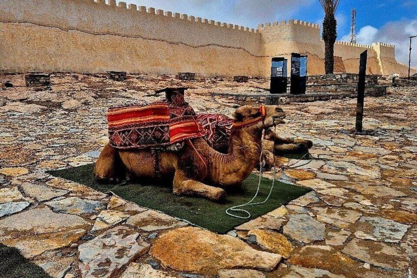 Agadir Panorama tour by cable car ,tickets & shuttle service 5