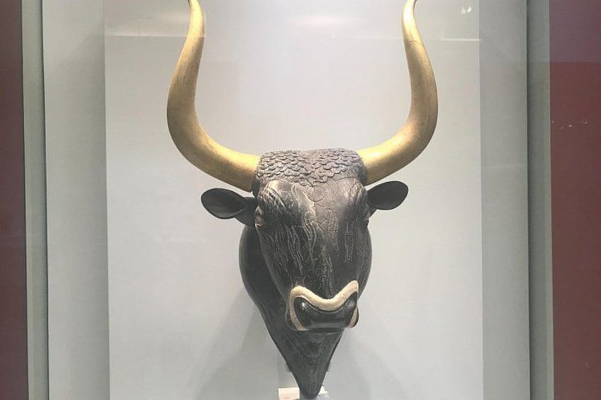 Een opgehangen stierenkop met grote hoorns, tentoongesteld in een glazen vitrine. 5