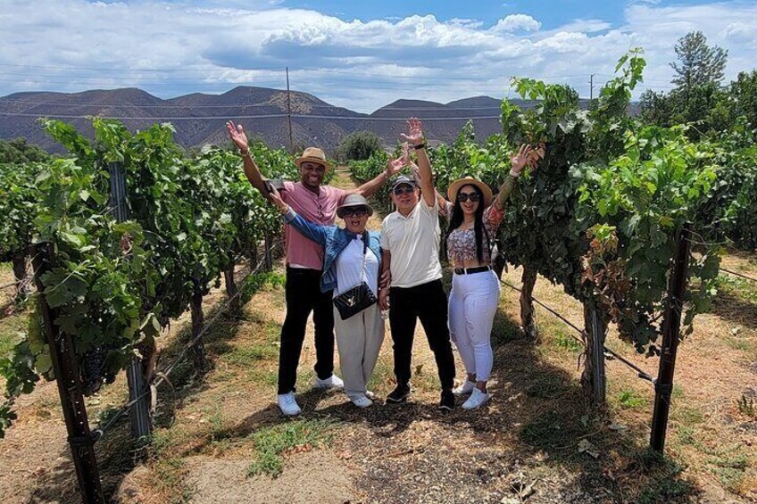 All-Inclusive Wine Tasting Tour + Lunch in Temecula Wine Country