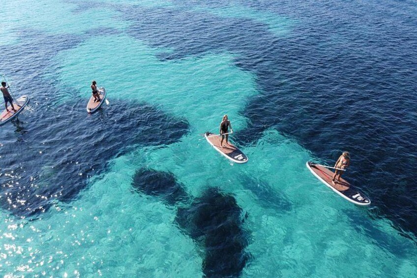 Dolphin-spotting SUP tour with Golfo Aranci aperitif 5