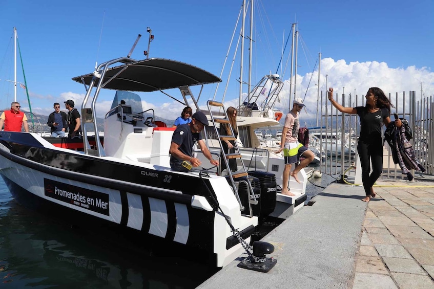 Picture 4 for Activity Calvi: Scandola and Piana Guided Boat Tour