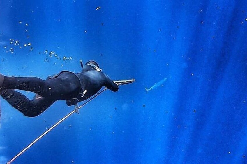 Spearfishing Playa del Carmen or Tulum 2