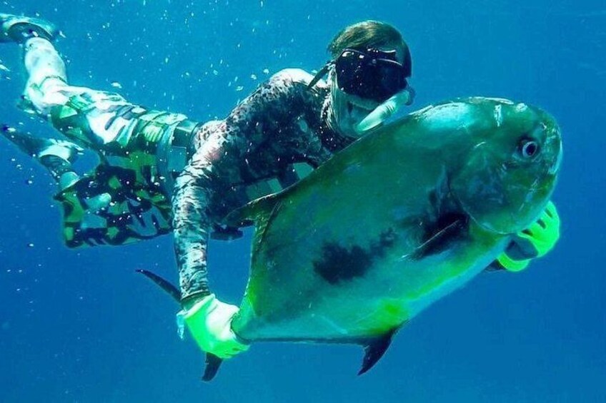 Spearfishing Playa del Carmen or Tulum 1