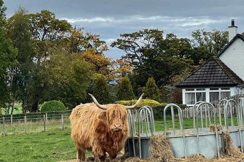 Private Full Day Inverness Centre Tour 5