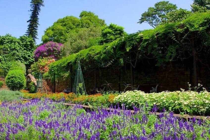 Full Day Durban & Phezulu Safari Park Tour from Durban 5