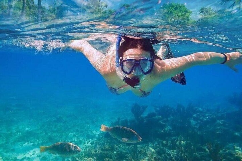 A person snorkeling underwater with clear water and marine life. 4