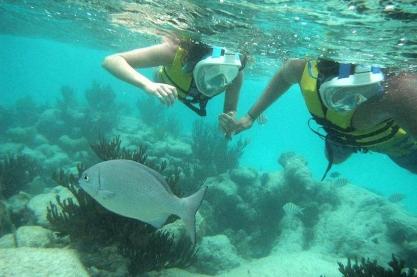 Two divers underwater with a fish nearby. 5