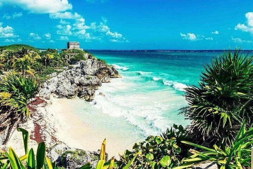 Full Day Tulum Ruins Tour Cenote and Swimming with Sea Turtles 1
