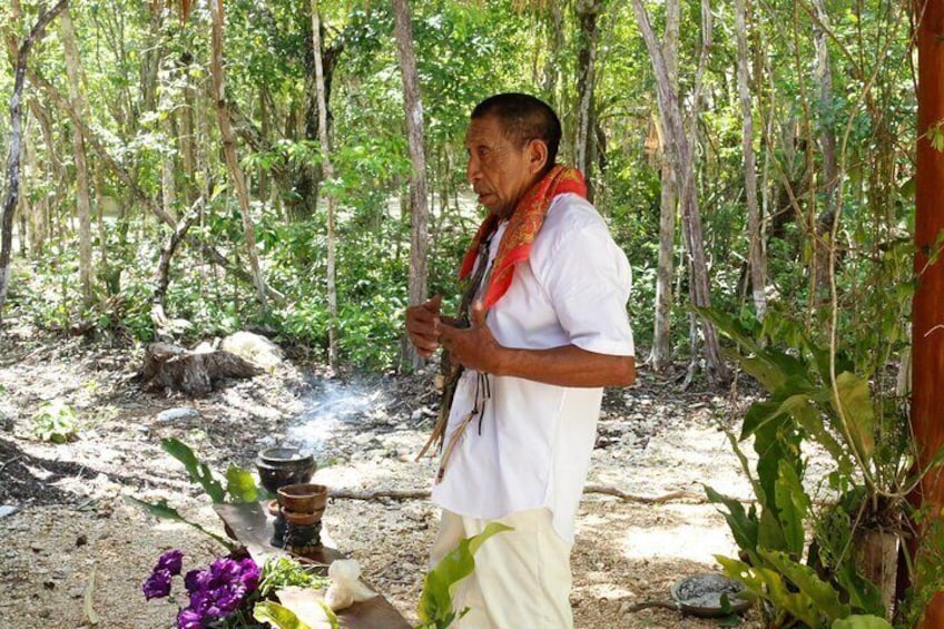 A person cooking outdoors with a pot on a fire, surrounded by greenery. 4