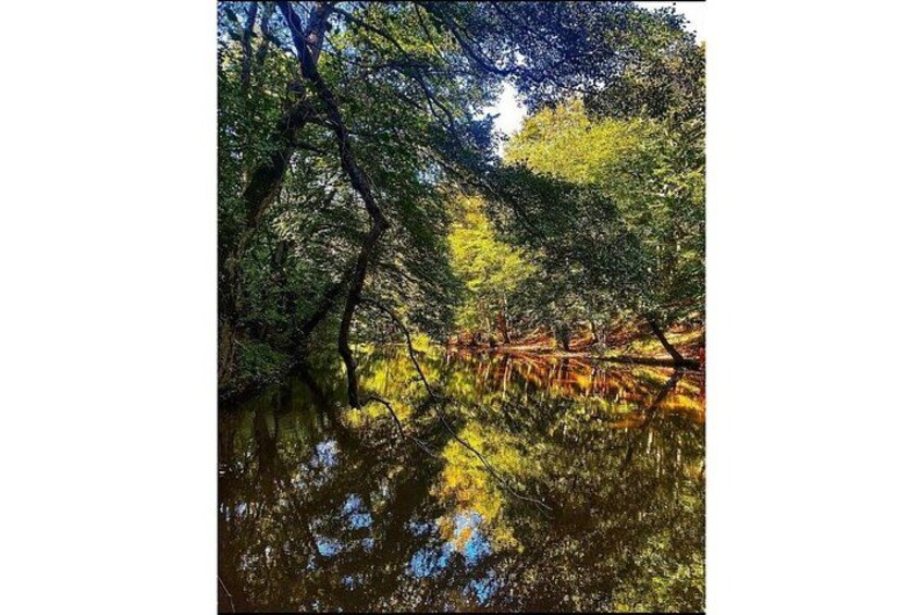 Discover Secret Lakes by Private Hiking Tour (w/Lunch, Transfers) 5