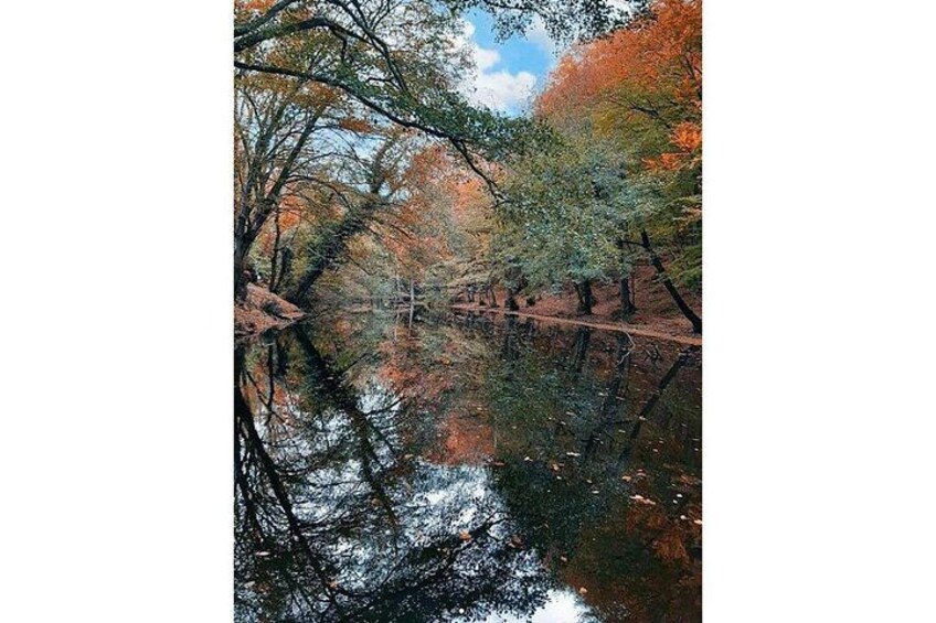 Discover Secret Lakes by Private Hiking Tour (w/Lunch, Transfers) 3