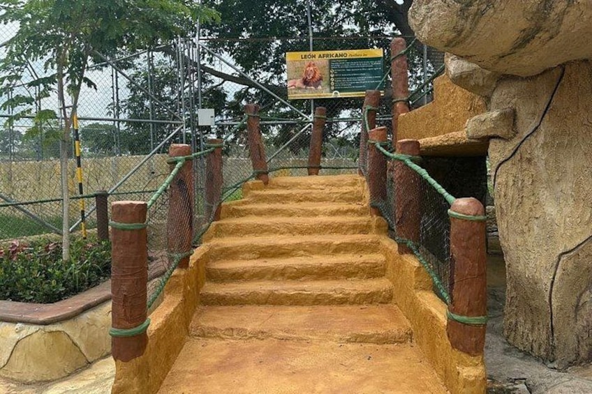 A set of stone steps leading up to a rocky structure, surrounded by a metal fence and greenery. 3