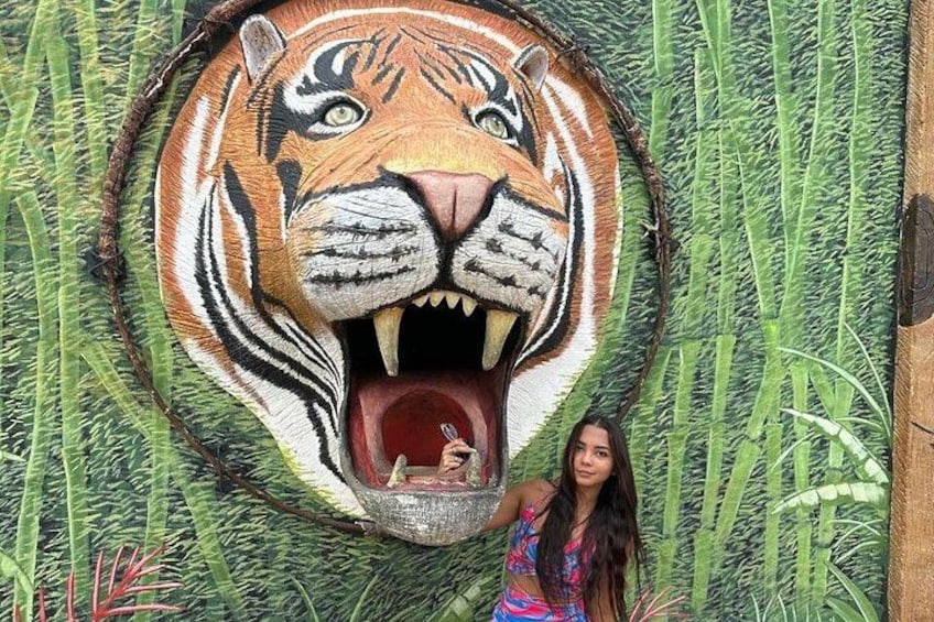 A mural of a tiger's face with a person standing in front of it. 4