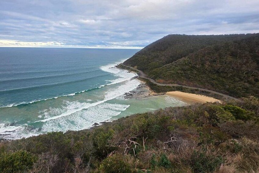 Premium Great Ocean Road Tour Reverse with Pickup - Max 10-14 4