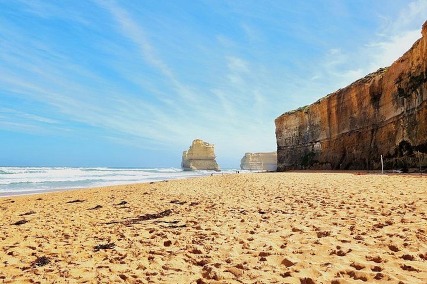 Premium Great Ocean Road Tour Reverse with Pickup - Max 10-14 3