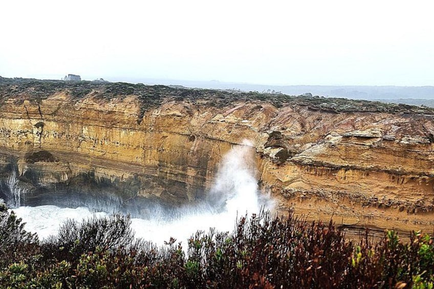 Premium Great Ocean Road Tour Reverse with Pickup - Max 10-14 3