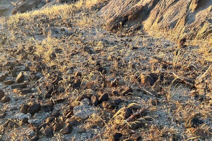 Moon Mountain Hike from Jeddah City 5
