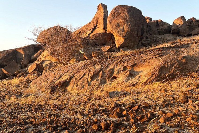 Moon Mountain Hike from Jeddah City 4