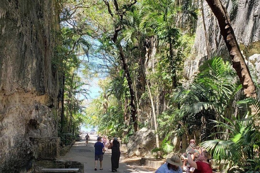 A pathway through a forested area with people walking and sitting. 2
