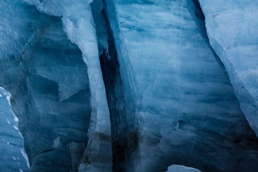 Full Day Reduced Tour to the Ojo del Albino Glacier in Argentina 4