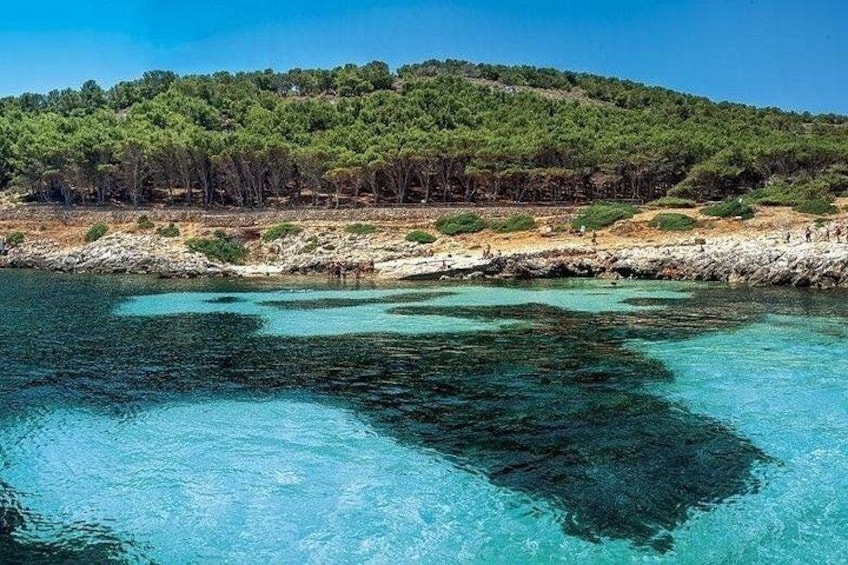 Private Boat Tour to discover Favignana and Levanzo from Trapani 2