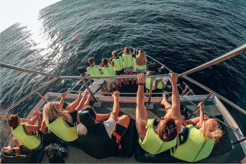 Bespoke Whale Watching Cruise to witness finned giants – Mirissa 2