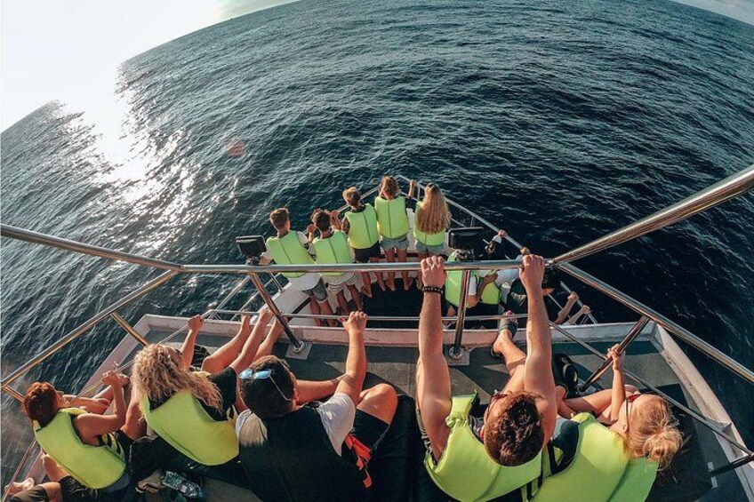 Bespoke Whale Watching Cruise to witness finned giants – Mirissa 3