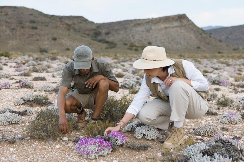 Dos personas agachadas en terreno rocoso con vegetación escasa, observando un grupo de flores moradas. 3