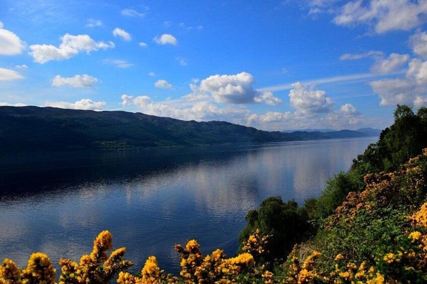 A lake surrounded by hills and yellow flowers. 4