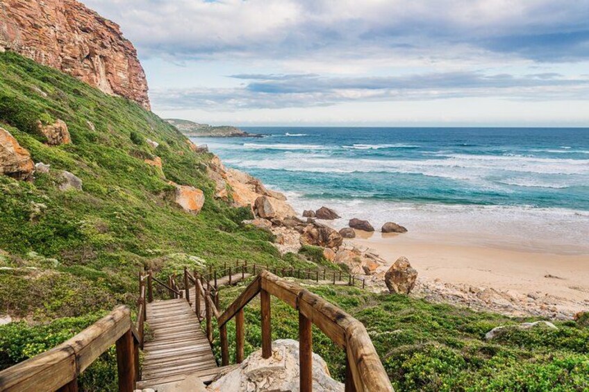 4 Day Garden Route and Botlierskop Game Reserve from Cape Town 3