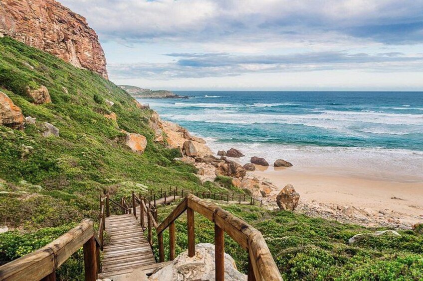 4 Day Garden Route and Botlierskop Game Reserve from Cape Town 4