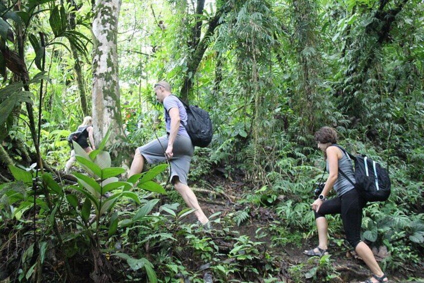 Hiking 4